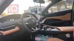 شانجان يوني في